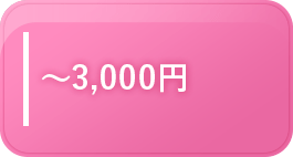 ～3000円