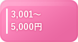 3001～5000円